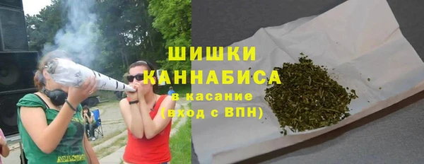 ГАЛЛЮЦИНОГЕННЫЕ ГРИБЫ Сатка